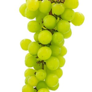 Grapes