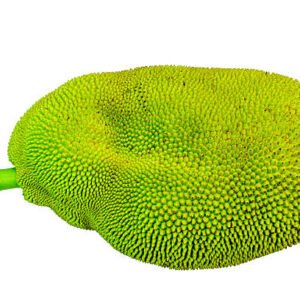 Jackfruit