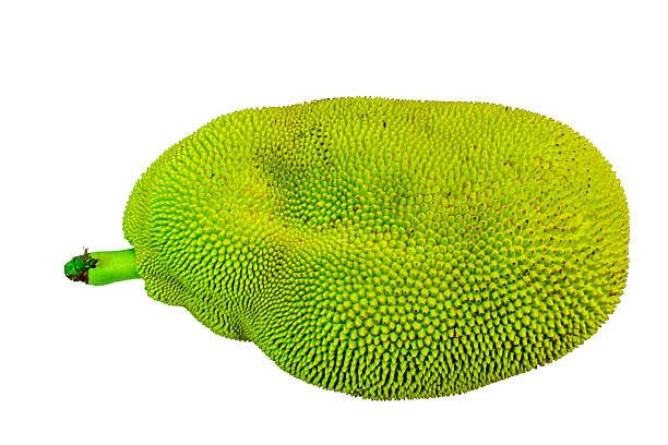 Jackfruit