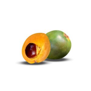 Lucuma