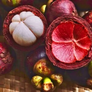 Mangosteen